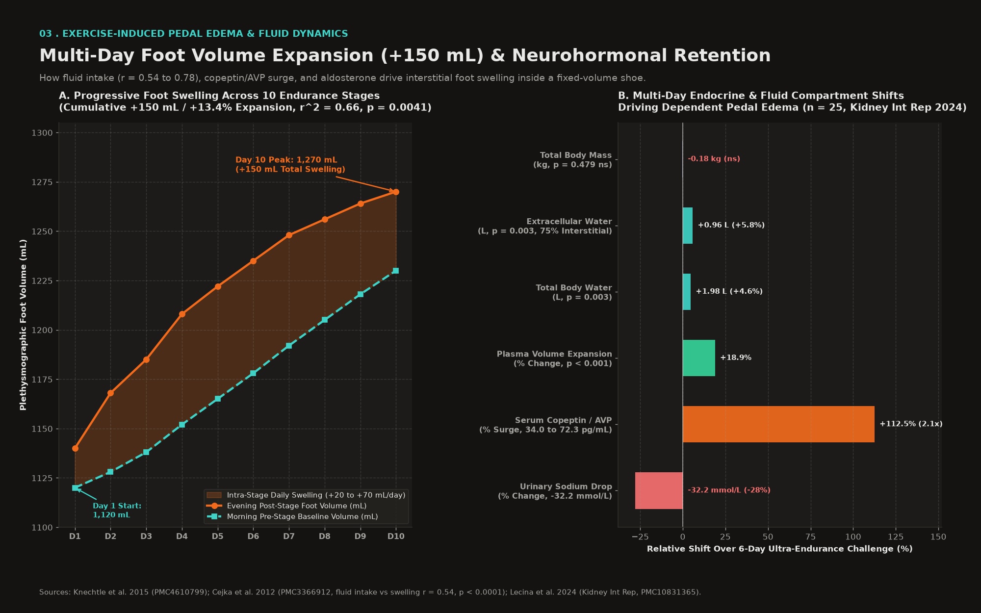 Dual-panel chart of 10-stage foot volume expansion up to +150 mL and 6-day neurohormonal fluid compartment shifts