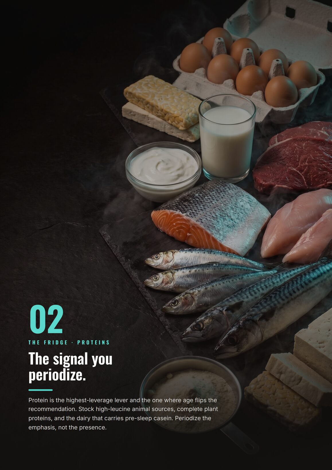 Zone 02, The Fridge and Proteins: the signal you periodize
