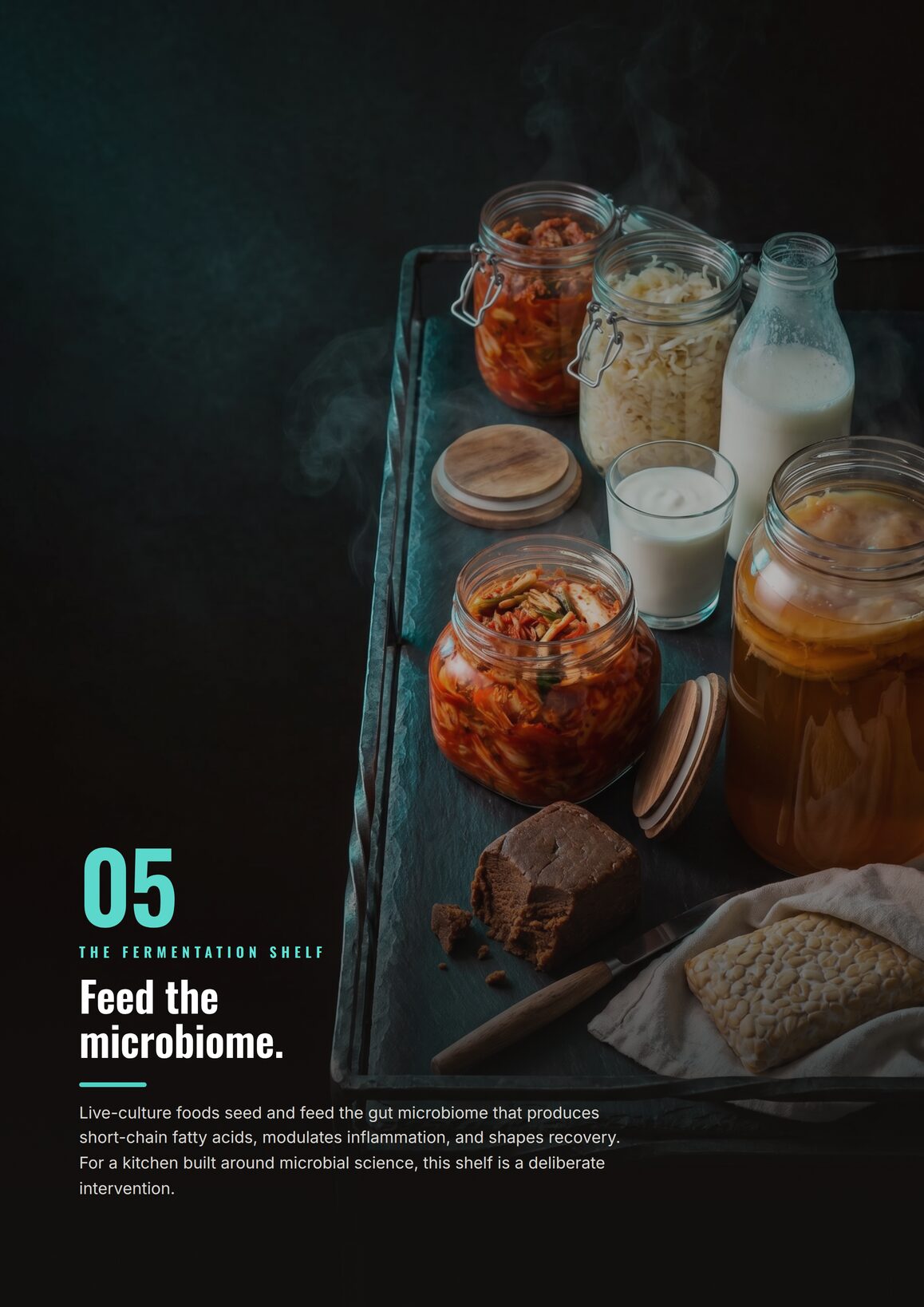 Zone 05, The Fermentation Shelf: feed the microbiome