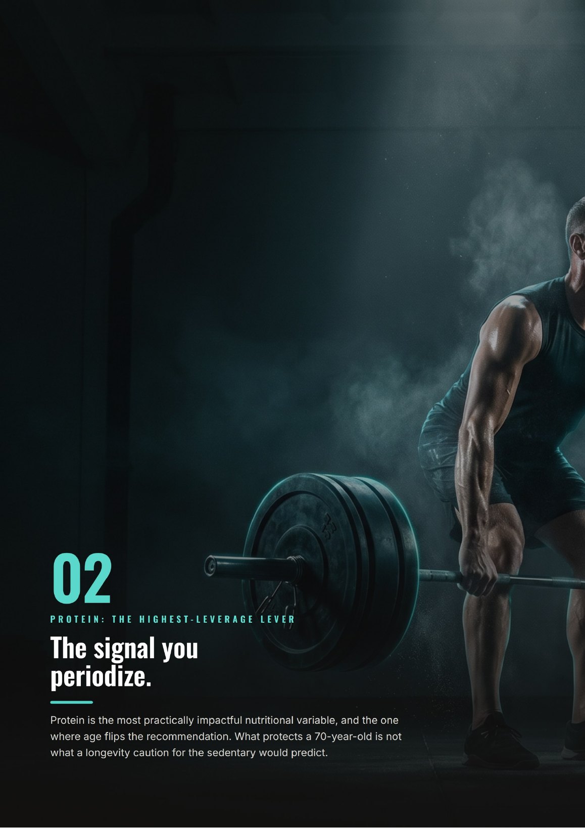 Section 02, Protein: the highest-leverage lever you periodize